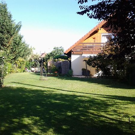 Les 3 Cles Bed and Breakfast Dossenheim-Kochersberg Εξωτερικό φωτογραφία