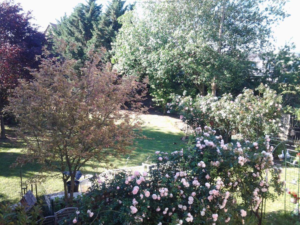 Les 3 Cles Bed and Breakfast Dossenheim-Kochersberg Εξωτερικό φωτογραφία